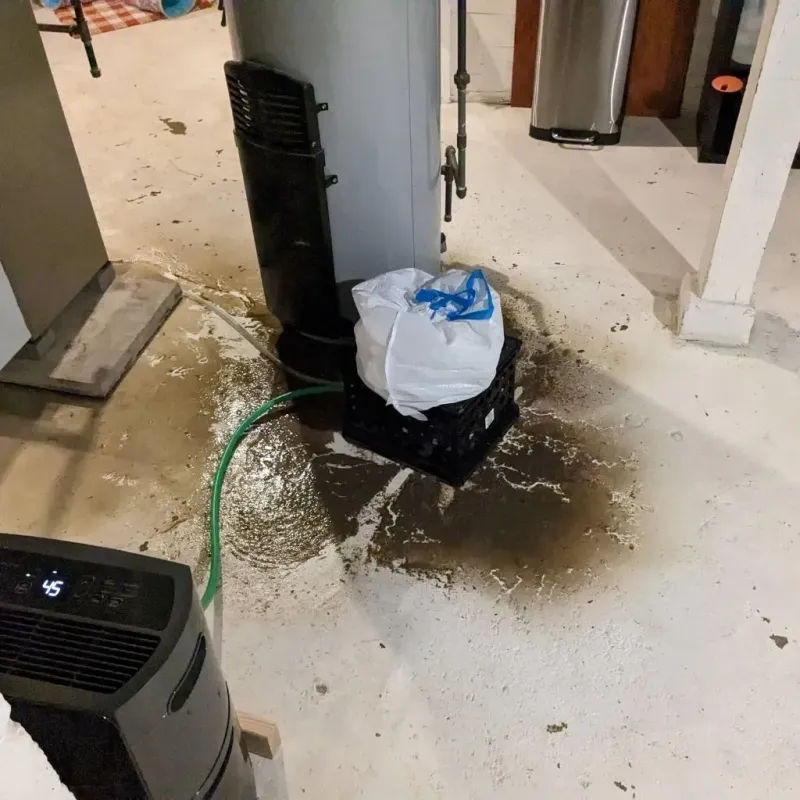 Sewage Backup Cleanup Service in Lincolnville, SC